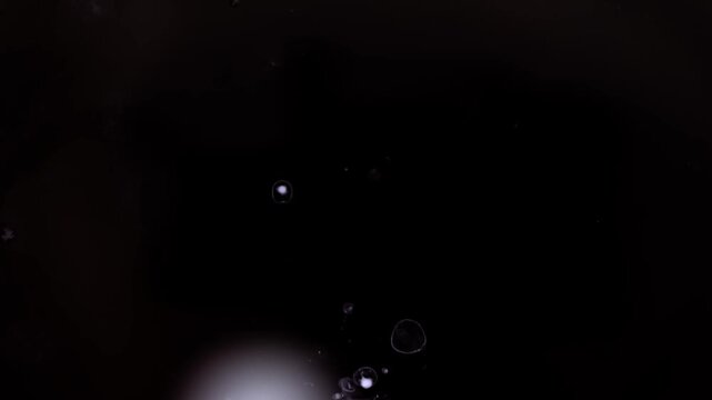 A drop of white liquid falling into a pool of black fluid, creating mesmerizing organic patterns as it dissolves and spreads. High-detail macro shot with smooth chemical reaction textures