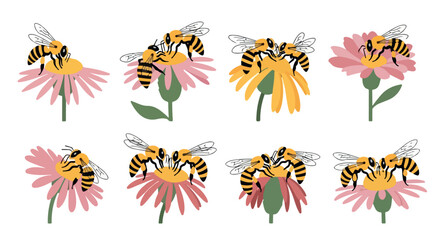 Bees on flowers with transparent background