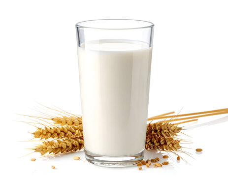 glass of milk and wheat
