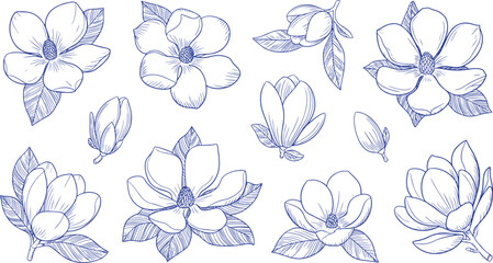 Black-and-white botanical flower illustrations with leaves, buds, and natural detail