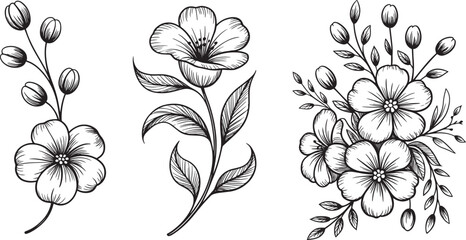 Black-and-white botanical flower illustrations with leaves, buds, and natural detail