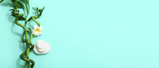 Obraz premium Green bamboo stems with plumeria flower and spa stones on turquoise background