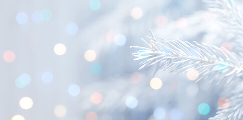 Christmas greeting card with fir tree branches and bokeh lights. Banner design