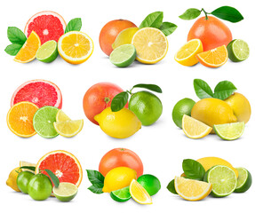 Set of various citrus fruits isolated on white