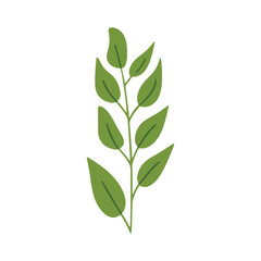Flat Style Fresh Leafy Branch Botanical Illustration Design Element