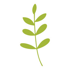 Simple Flat Design Olive Green Branch with Leaves Botanical Element