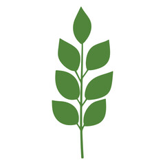 Minimalist Flat Style Branch with Leaves Simple Botanical Illustration