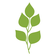 Simple Green Leaf Branch Plant Element Botanical Illustration Graphic Design