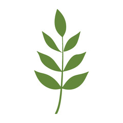 Simple Minimalist Green Leaf Branch Botanical Nature Illustration Design