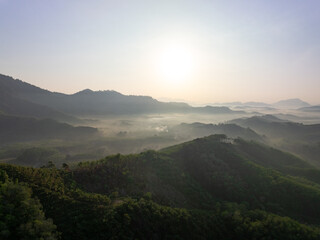 Aerial view forest trees in Phuket Thailand nature background