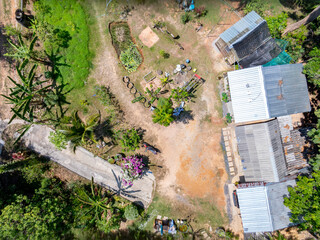 Aerial view forest trees in Phuket Thailand nature background