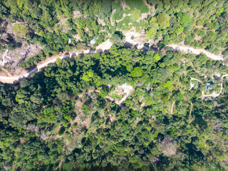 Aerial view forest trees in Phuket Thailand nature background