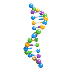 Colorful DNA Double Helix Structure Illustration