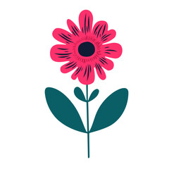 A vibrant illustration of a single pink daisy with dark green leaves on a white background, showcasing a simple yet elegant floral design, perfect for adding a touch of nature to any project