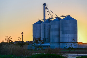 Grain silos at sunrise with connected conveyors and storage structures, illustrating agricultural storage infrastructure and crop handling capacity.