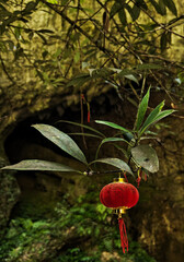 Traditional red Chinese lantern. Chinese New Year. Chinese holidays. Symbol of China.