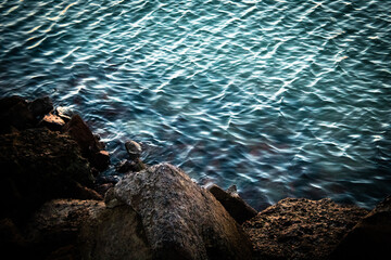 portrait of a group of stones on the beach