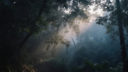 Naklejka premium Ethereal sun rays illuminate the morning fog in a dense forest.