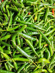 Mixed green chilies with stems for market supply. Fresh harvested green peppers for spice trading. Raw green chili batch for culinary wholesale. Natural green pepper crop for food distribution