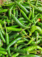 Fresh big green chilies for healthy food market. Green chili pile for cooking ingredient branding. Raw green peppers for grocery and retail supply. Natural green chili stock for food business use