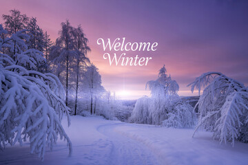 Snowy winter wonderland landscape with snow covered trees and a path leading into the distance under a pastel sky welcoming the serene season.