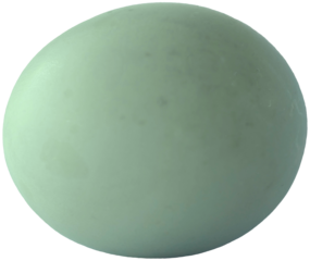 Single Whole Salted Duck Egg with Pale Blue Shell Isolated in Transparent Background