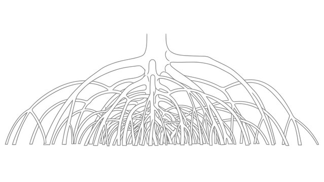 Intricate network of mangrove roots illustrated with clean lines on a white background.