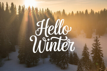 Hello winter greeting over a snowy forest landscape with sun rays shining through the trees creating a peaceful and serene winter scene.