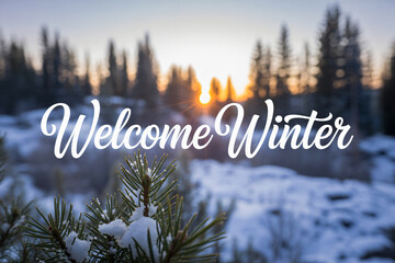 Welcome winter greeting over a snowy landscape with pine trees and a bright sun shining through the forest creating a beautiful seasonal scene.