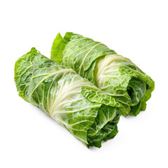 Fototapeta premium vegetables, such as in stuffed cabbage rolls. full length isolate on transparent background
