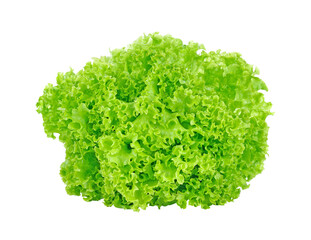 fresh green lettuce leaves transparent png
