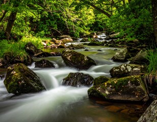 Flowing river, long exposure, green canopy. Rocky riverbed, mossy stones in tranquil scene. Sunlit greenery in forest