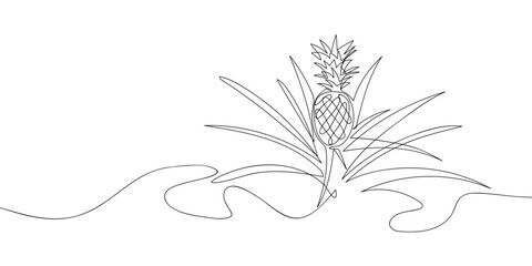 Pineapple plant in one continuous line simple linear style. Doodle vector illustration Editable stroke.