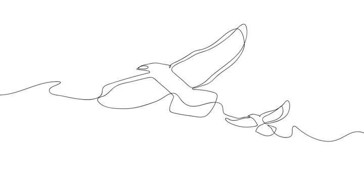 Two birds flying in the air, in one continuous line. simple linear style. Doodle vector illustration Editable stroke.