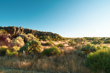 High flat desert plains, dotted by sage brush and other scrub plants, extending into the distance under a clear blue sky, with long shadows from late afternoon. 