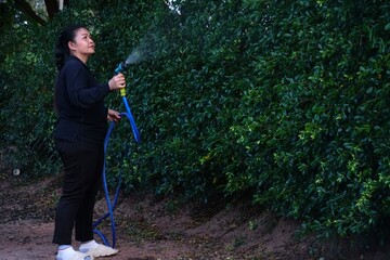 The woman in the black top is spraying water onto a dense green hedge with a hose and nozzle.