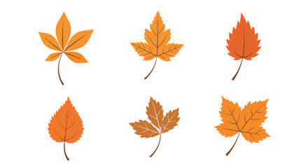 Obraz premium A set of six different autumn leaves in shades of orange and brown with a simple textured design for seasonal decorations.