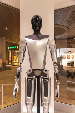 Tesla Optimus humanoid robot being displayed at the Tesla showroom in the International Market Place, Waikiki.  Image taken February 28, 2024