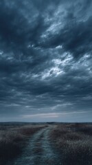 Obraz premium Dramatic sky over a field with a dirt road atmospheric natural scene
