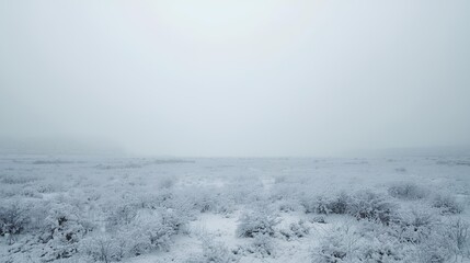 Winter Serenity A Frozen Field of Whispering Grass Under a Soft Gray Sky