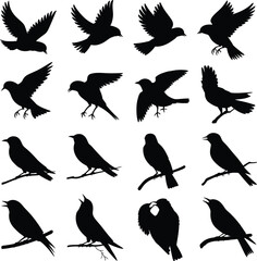 Obraz premium Flying Bird and Sparrow Silhouette Set