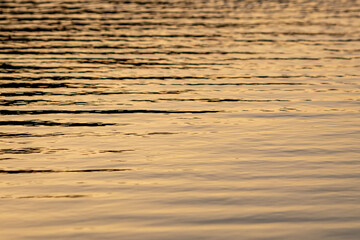 Close up of the golden ripples on the surface of water at sunset