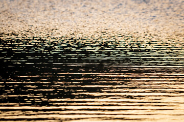 Close up of the golden ripples on the surface of water at sunset