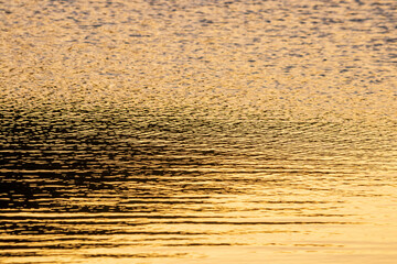 Close up of the golden ripples on the surface of water at sunset