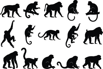 Vector Collection of Monkey and Baboon Silhouettes Set of Fifteen Black Primate Figures in Various Sitting, Climbing, and Walking Poses for Wildlife Design.