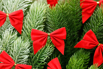 Red ribbons with pine branches, Christmas tree concept.