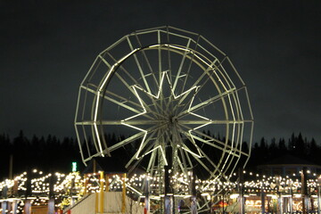 ferris wheel at night
