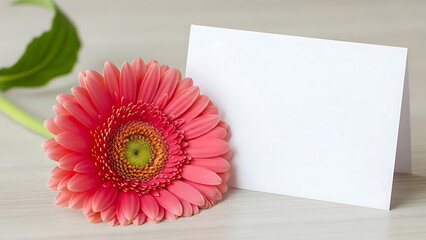 Pink Gerbera Daisy Flower and Blank White Greeting Card for Mother's Day