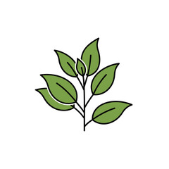 Obraz premium Illustration of a Green Plant with Leaves on a White Background.