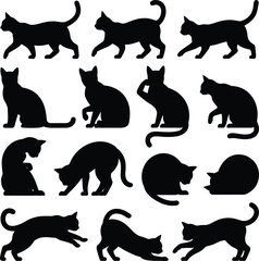 Cat Poses and Feline Silhouette Collection